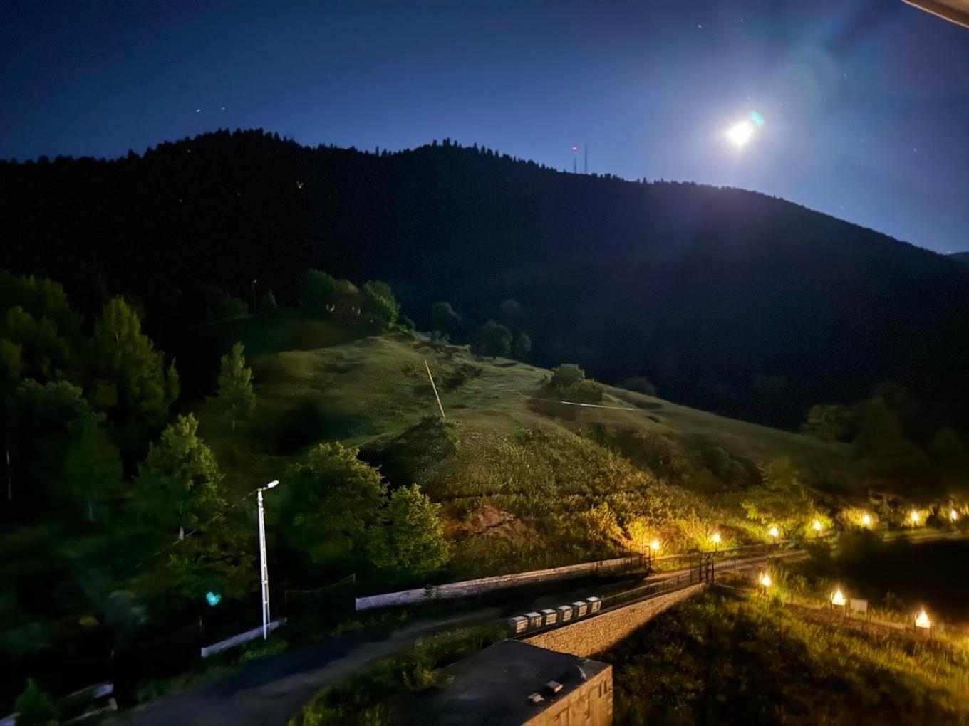 Black Forest Hotel Savsat Buitenkant foto