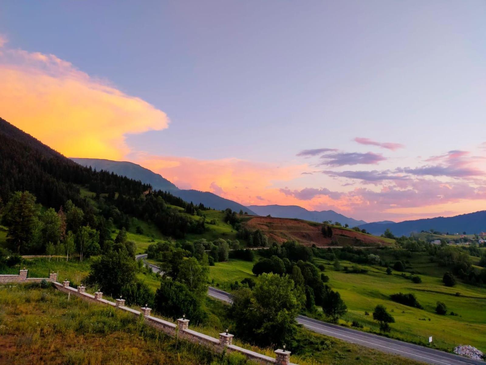 Black Forest Hotel Savsat Buitenkant foto
